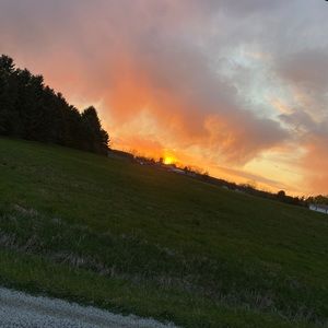 Meet your Posher, Annie